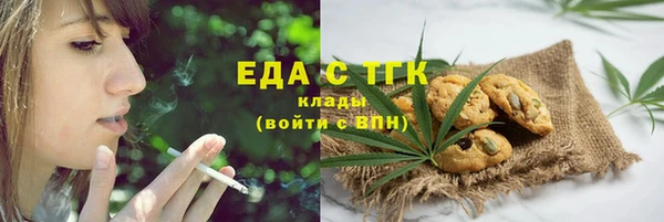 шишки Гусиноозёрск