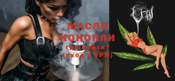 шишки Гусиноозёрск