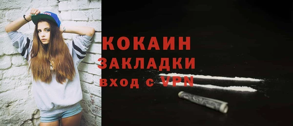 кокс Гусев