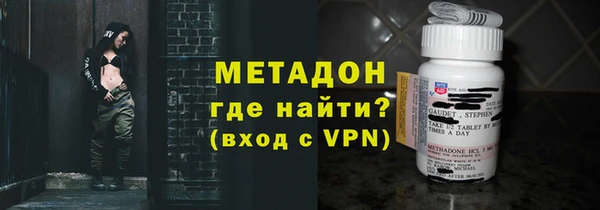 шишки Гусиноозёрск