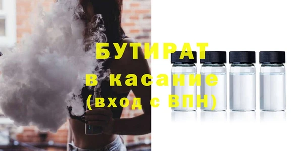 шишки Гусиноозёрск