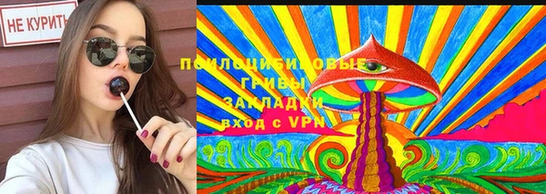 spice Горняк