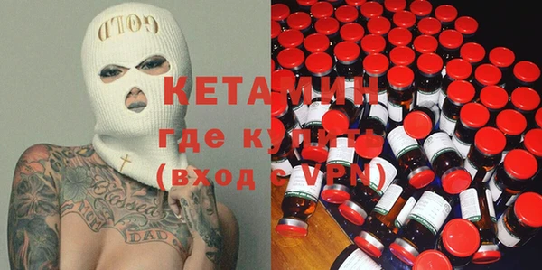шишки Гусиноозёрск