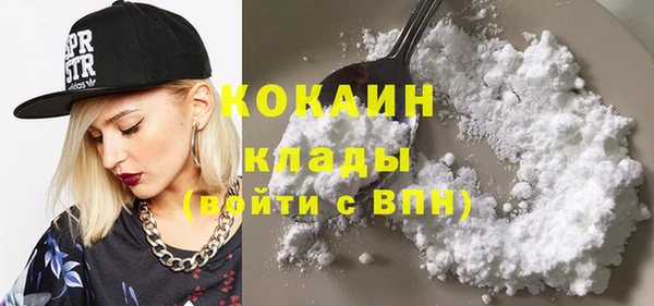 шишки Гусиноозёрск