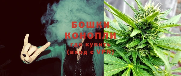 spice Горняк