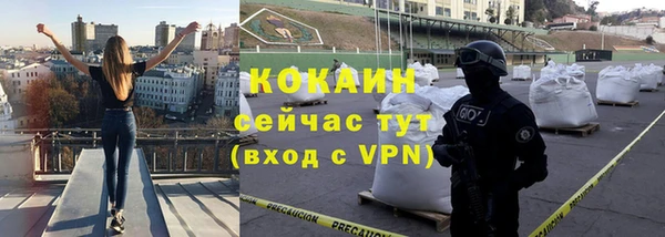 твердый Гусь-Хрустальный