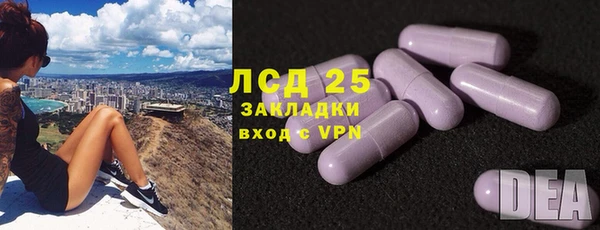 шишки Гусиноозёрск