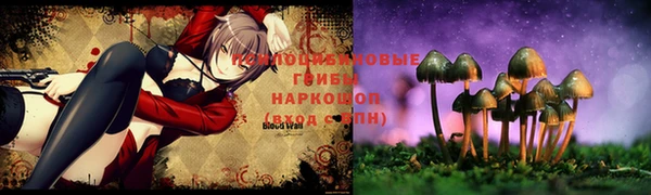 твердый Гусь-Хрустальный