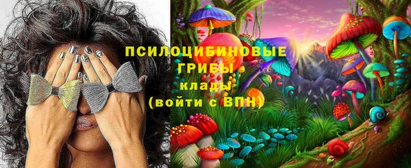кокс Гусев