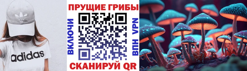 MEGA ССЫЛКА Партизанск Галлюциногенные грибы GOLDEN TEACHER купить цена